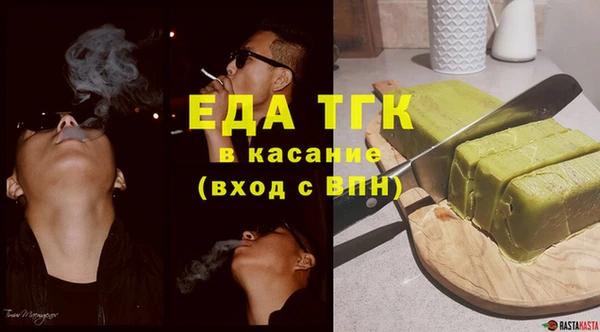 гидра Богородицк
