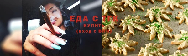 гидра Богородицк