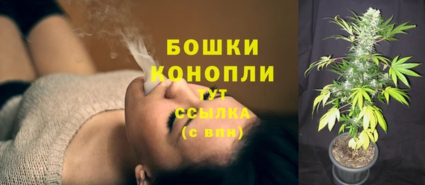 ГАЛЛЮЦИНОГЕННЫЕ ГРИБЫ Белокуриха