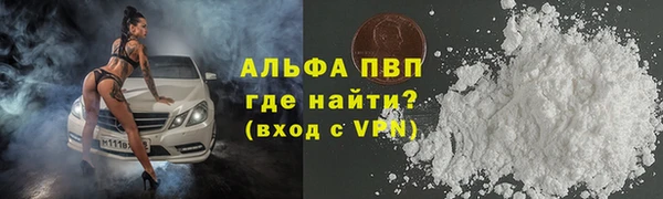 шишки Беломорск