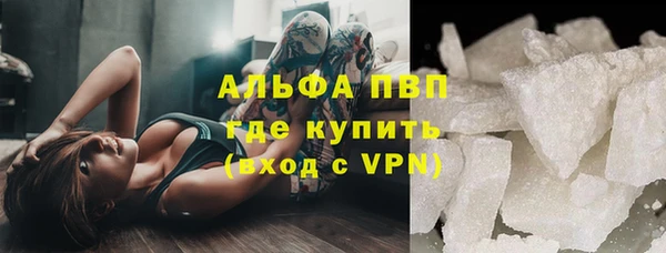 шишки Беломорск
