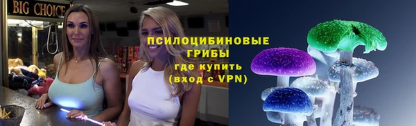 гидра Богородицк