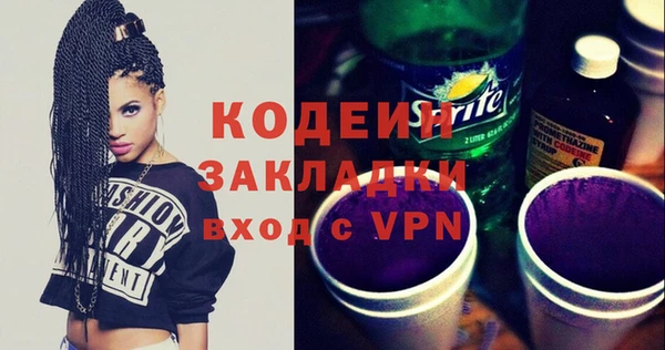 гидра Богородицк