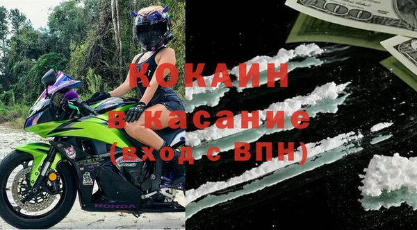 гидра Богородицк