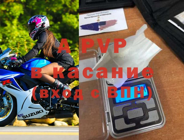 ГАЛЛЮЦИНОГЕННЫЕ ГРИБЫ Белокуриха