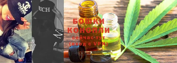 шишки Беломорск