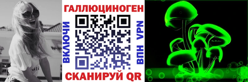 Псилоцибиновые грибы Psilocybe  Кстово 